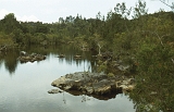 661_Langs de rivier achter Kuranda